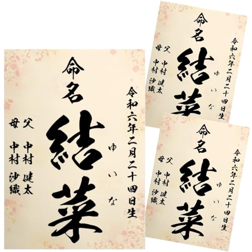  畿 ѕM Ƃ̑ccɂ AV[gt I[_[  j̎qp ̎qp  A4 ~l[g N   ڏȗ (3)