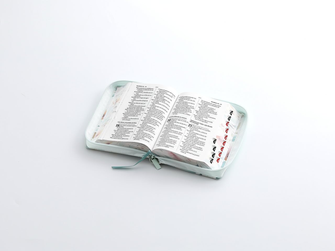 Biblia Portatil para Mujer con Cierre Letra Grande 12 puntos RV1960 flores azul con indice y canto floral      Imitation Leather – January 1, 2026