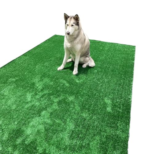 Grama Sintética Tapete (2m²) 200cm x 100cm Decoração 12mm