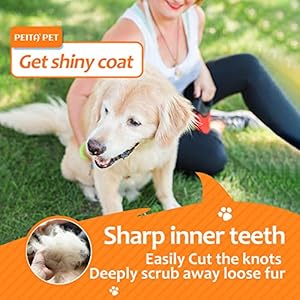 Undercoat-rake-for-DogsDog-Deshedding-Brush-for-Large-Dogs2-in-1-Dematting-Comb-deShedding-Tool-for-Long-Hair-CatsPet-Hair-Grooming-Brush-Clear-mats-and-tangles-Reduces-Shedding-by-95 - Cucciolini Doodles   Undercoat-rake-for-DogsDog-Deshedding-Brush-for-Large-Dogs2-in-1-Dematting-Comb-deShedding-Tool-for-Long-Hair-CatsPet-Hair-Grooming-Brush-Clear-mats-and-tangles-Reduces-Shedding-by-95