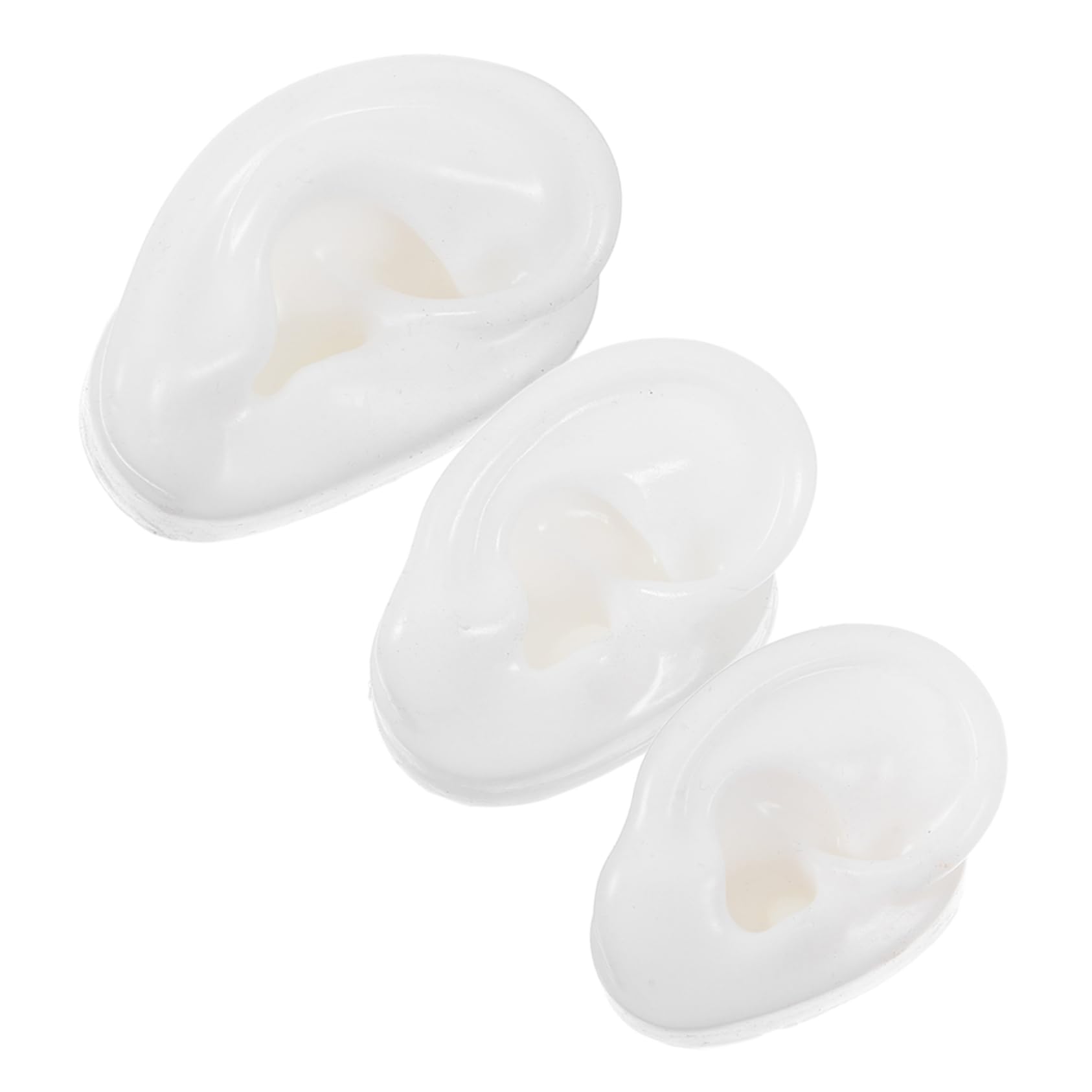 1 Set Flessibile per Piercing e Presentazione Gioielli Parte del Corpo Simulata per Insegnanti e Professionisti | Orecchini e Gioielli, Dettaglio Realistico, Adatto a Esposizione e Set Fotografici