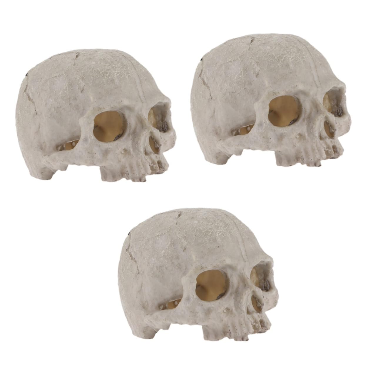 BESPORTBLE 3St Aquarienschädel - Lebensraum für Aquarien Aquariumdekorationen Terrarium Aquarium Reptilien Spielzeug Aquarium-Schädel Requisiten für Aquarien