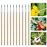Set di 20 pennelli per impollinazione, per serre, giardini, pomodori, peperoni, fragole e altro, legno