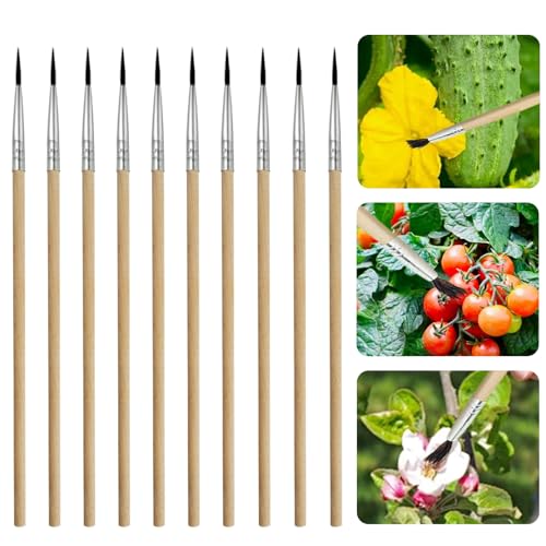 20 Pcs Pollination Brush, Pollinator Brushes Tool Set for Greenhouse Gardens Tomatoes, Peppers, Strawberries and More, Wood