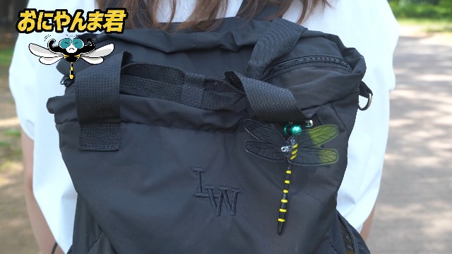 おまやん Amazon.co.jp: 【公式】日本正規品 おにやんま君専用ケース 持ち運び
