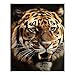 5D Diamond Painting Kits for Adult, Tiger Diamond Art Kits for Beginners Fun DIY Crafts Round Diamond Art Canvas Home Wall Decor 16