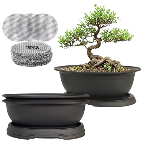 MUZHI 3 Pack Oval Bonsai Training Pot with Drainage Tray, Matte Finish Nursery Plastic Bonsai...