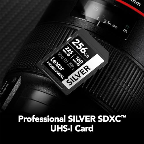 Image of Lexar 256GB Professional Silver SDXC Memory Card, UHS-I, C10, U3, V30, 4K Video, Up to 205 /140 MB /s Read /Write, for Professional Photographer, Videographer, Enthusiast (LSDSILV256G-BNNNU)