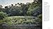Into the Weeds: How to Garden Like a Forager