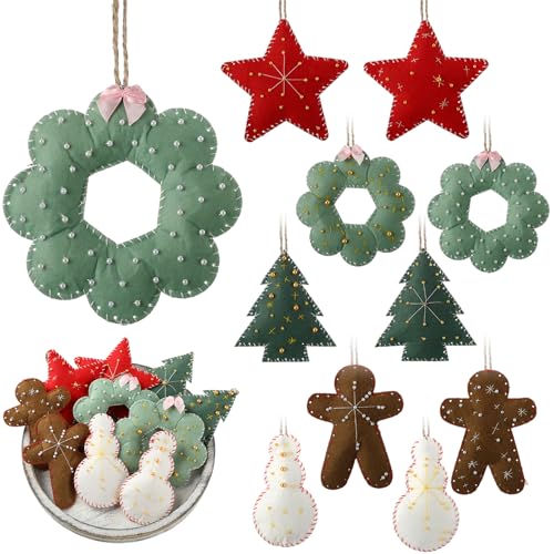 Suncalla 10 Pieces Embroidered Felt Christmas...