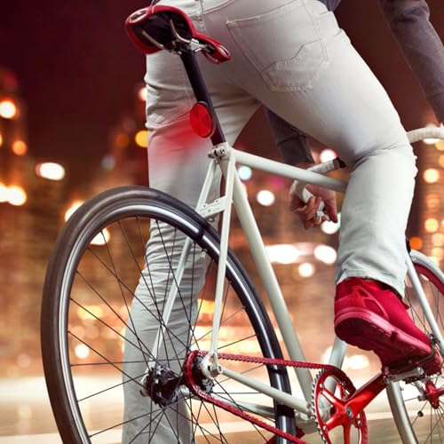 GRIRIW ]ԗp vX`bN ی^˔ ˗ TCNOxtN^[ }EeoCN I[goC RVΉ 4Zbg