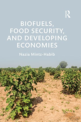 Biofuels, Food Security, and Developing Economies (Routledge Studies in Bioenergy)