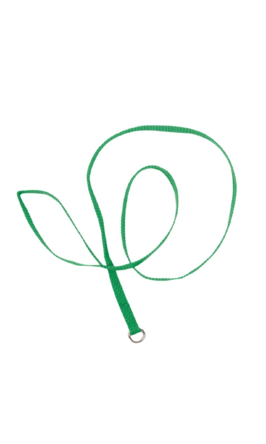 GROOMER ESSENTIALS 4' Kennel Leads - 12 Pack - Green Slip Leads for Dogs