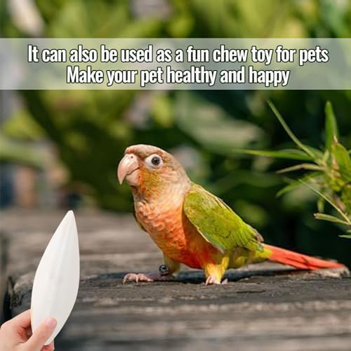 10Pcs Bird Cuttlebone Cuttlefish Bone, Bird Cage Food Cuttle Bone, Parakeet Chew Toy Calcium Stone Beak Exercise for Birds Parrots Cockatiels Budgie Snails Reptiles - 4-6cm - 5
