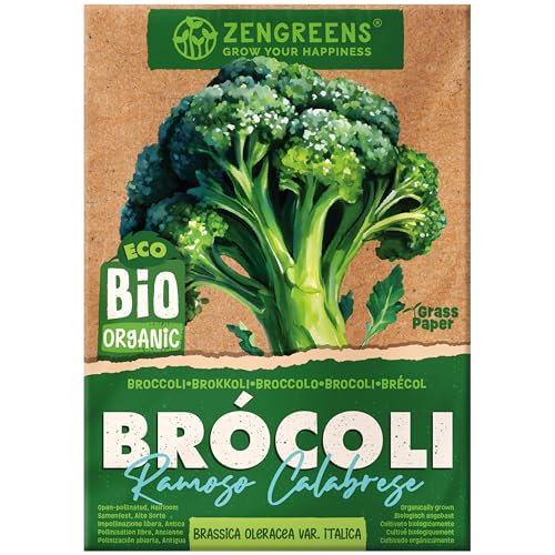 ZenGreens® - Semillas de brócolibio - verduras para cultivar fácilmente en el jardín, balcón o parterre elevado - hortalizas - brécol, bróquil - ramoso calabrese