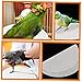 BESPORTBLE 100pcs Bird Cage Liners Absorbent Parrot Cage Cushions for Easy Cleanup Round Pads for Parrots Parakeets and Birds Leak Design for Maximum Absorption
