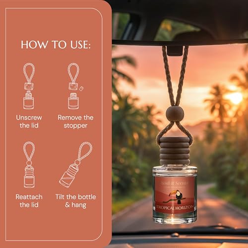 Image of Soul & Scents 16ml Luxury Car Perfumes Raspberry | Tropical Horizon | 2-in-1 Hanging Pod & AC Vent Air Freshener | Premium Wooden Car Fragrance Accessory | Long Lasting Odour Eliminator | Pack of 2