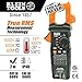 Klein Tools CL800 Digital Clamp Meter, Autoranging TRMS, AC/DC Volt/Current, LoZ, Continuity, Frequency, Capacitance, NCVT, Temp, More 1000V & 69417 Rare-Earth Magnetic Hanger, with Strap