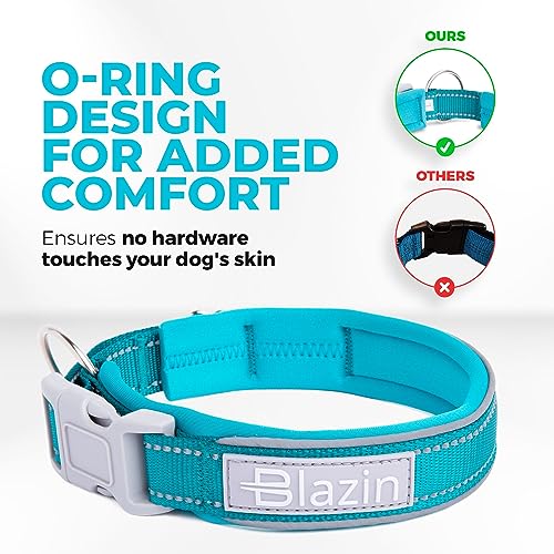 Collier réfléchissant chien bleu taille S Blazin