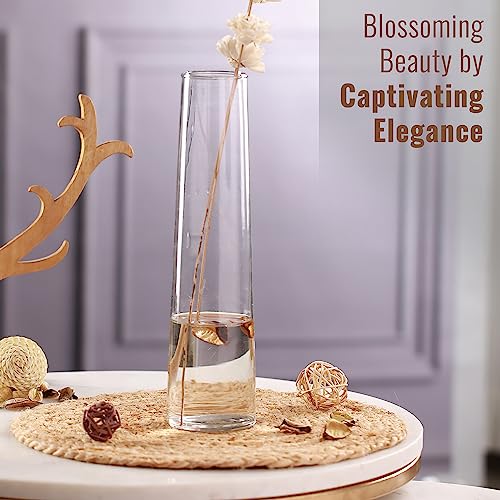 TIED RIBBONS Glass Round Vase For Flowers And Plants Living Room Home Décor Table Centerpiece Wall Shelf Home Decoration (8 X 29 Cm, Clear Without Flowers, Clear) - Image 4