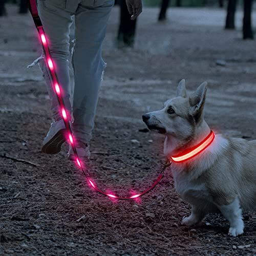 LED Dog Collar and Leash Set，iTayga USB Rechargeable Light Up Dog Leash and Adjustable Pet Collars for Large Medium and Small Dogs (Pink, Large [17'-25.9' inch ])