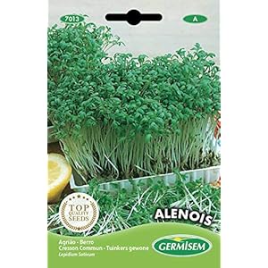 Germisem Alenois Tuin Tuinkers Zaden, 12 g