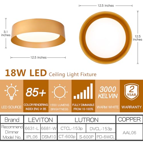 Image of Bargeni Gold Flush Mount Ceiling Light,LED Ceiling Light Fixture