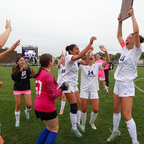 Peotone girls soccer wins 5th straight regional, Herscher wins 10th straight: Friday&rsquo;s Daily Journal roundup