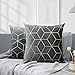 Lewondr Federe Cuscini 45x45, 2 Pezzi Federe per Cuscini Divano Quadrate in Morbido Velluto con Ricamo d'oro, Copertine per Cuscini Divano Auto Home Decor, Grigio