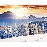 🎨 Inklusive Verpackung: 1 vorgedruckte strukturierte Leinwand 40x50cm (Ohne Rahmen ), 1 Satz Acrylfarbe, 1 Satz Pinsel (3 Sätze), 2 Haken und Nägel. Sie können auch nach Zahlen zeichnen (mit Rahmen)