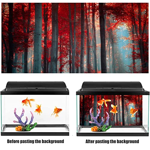 Infantiles, Home Imagen adicional