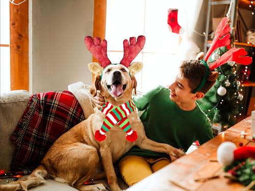 Disfraz para perros con diadema de árbol navideño rojo miniatura 5