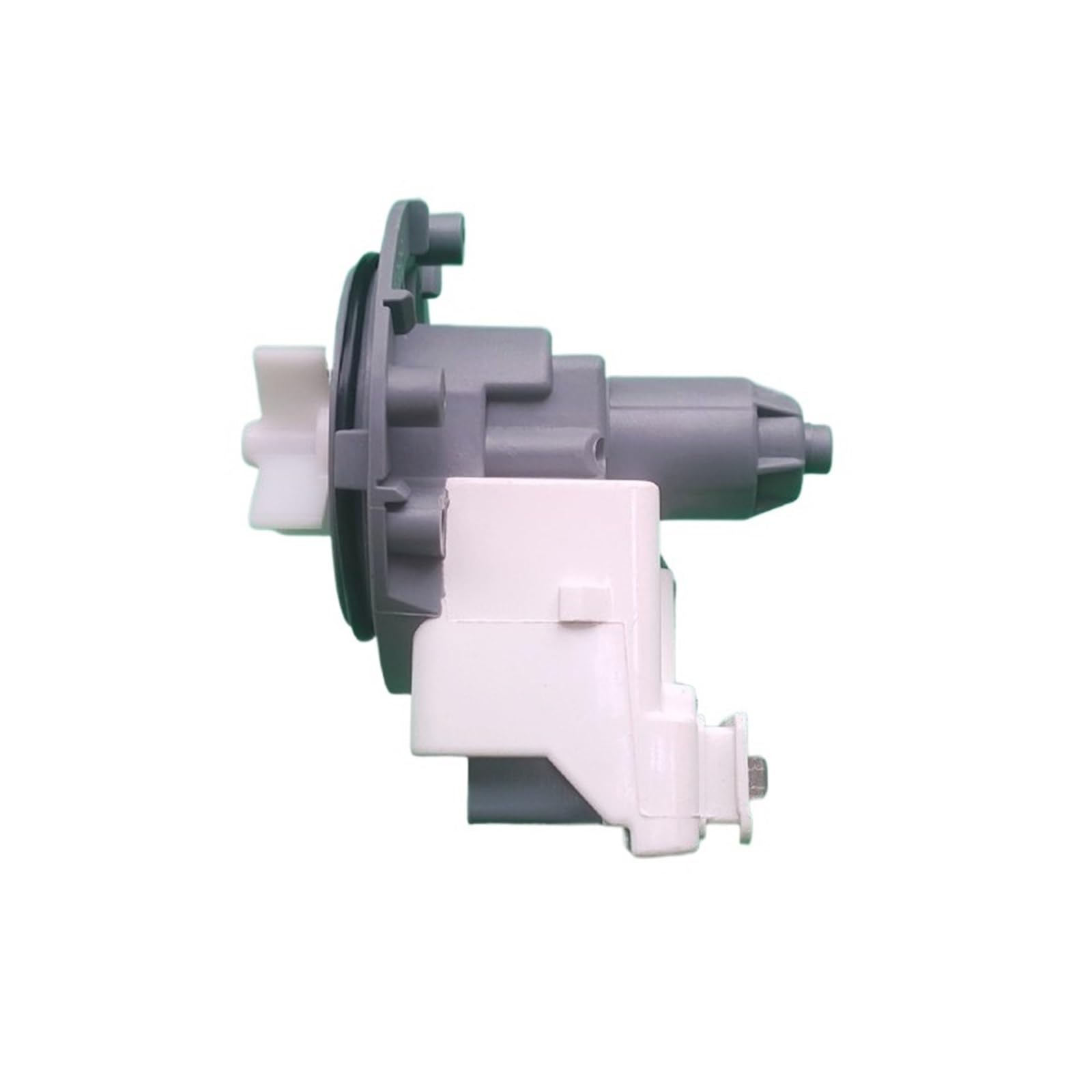 Pompa scarico RG100DS1428, Compatibile con Hisense