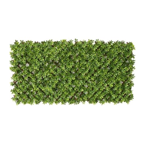 LOLAhome Celosía Extensible con seto Artificial Premium Boj de 1,8x0,9 m | Realista y Natural, Alta Ocultación, Tratamiento UV, No inflamable, Transpirable | para Jardín, Balcón, Terraza o Piscina