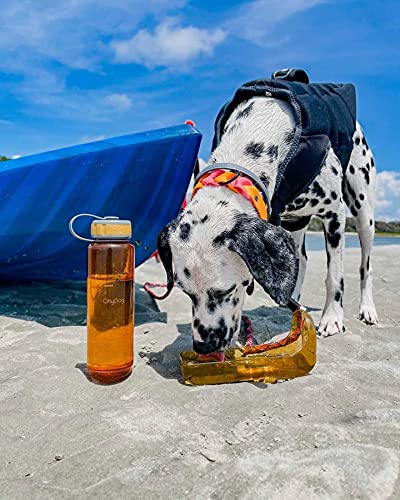 Ollydog Ollybottle Portable Dog Water Dispenser Bottle For Travel With Bowl Non-Toxic Bpa Free, Flame, 1 L #TOP2