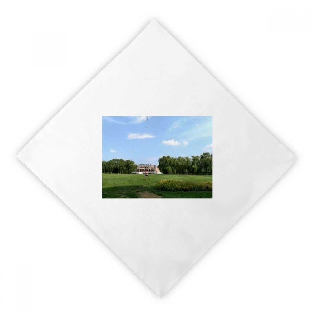 Serviettes en tissu réutilisables anti-tache motif parc vert pour table 2Pcs