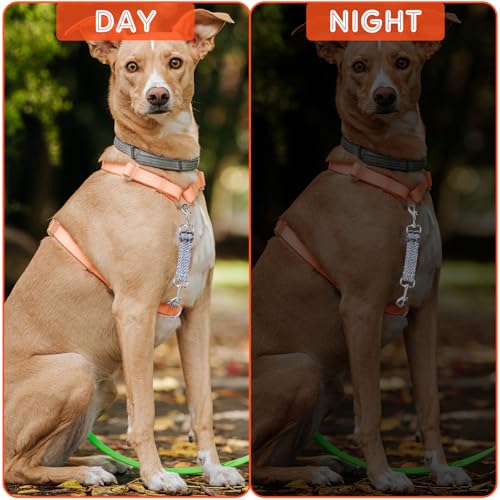 Kurzführer Hund 2 Stück Hundeleine Kurz Hundehalsband Clips Verstellbarer Haustier Welpenhalsband Nylon Hundesicherungsverschluss Clip Geschirrverbinder Doppelseitiger Hundesicherungsverschluss Clip