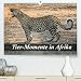 Tier-Momente in Afrika (Premium, hochwertiger DIN A2 Wandkalender 2022, Kunstdruck in Hochglanz): Afrikas wilde Tierwelt (Monatskalender, 14 Seiten ) (CALVENDO Tiere) - Janssen, Dirk