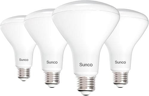 Paquetes de bombillas de luz BR30