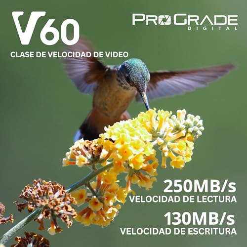 Miniatura 6 de Tarjeta Sd Uhs-Ii De 256gb V60: Hasta 130mb S De Velocidad De Escritura Y 250mb S De Velocidad De Lectura Para Profesionales, Cineastas, Fotógrafos Y Conservadores De Contenido: Por Prograde Digital
