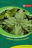 Die 12 wichtigsten essbaren Wildpflanzen: Bestimmen, sammeln und zubereiten (Natur & Genuss)