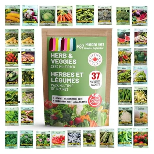 THUNDERBAY-GBSE Lot de 35 sachets de graines de légumes et d'herbes aromatiques Env. 6000 graines (100 % sans OGM, 35 sachets emballés individuellement, 35 étiquettes de plantation) 35 sachets