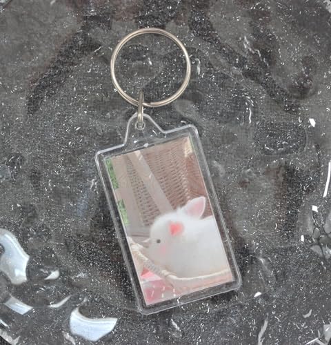 Image of BetterJonny 20Pcs Acrylic Picture Keychain Blanks in Clear Acrylic Picture Frame Keyrings