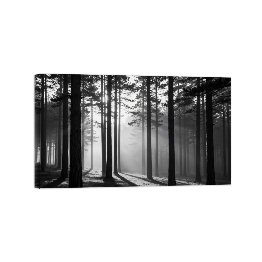 OZPWBVY Forest Tree Black White Landscape Wall Art Prints 50x85cm Framed