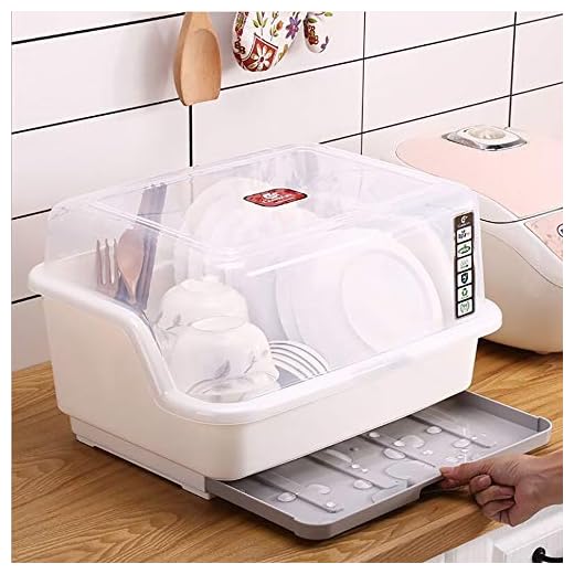 Tomorotec Medium Size Dish Drying Rack and Drain Board with Lid Cover, 16" x 12.2" x 10.6" Nursing Bottle Holder, Kitchen Plate Cup Dish Drying Rack Tray Cutlery Dish Drainer