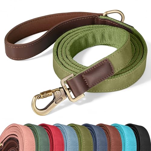 Didog PU Leather Dog Leash for Large Dogs, 6ft Padded Handle, Olive Green