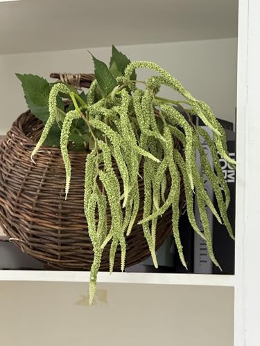 QFSH 3Pcs Artificial Amaranthus Flower Fake Hanging Green for Wedding Bouquets Home Decor Arrangement Photo Props Party Decoration 37(Green)