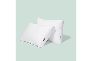 Plush Down Alternative Charter Club Pillows Two-Pack