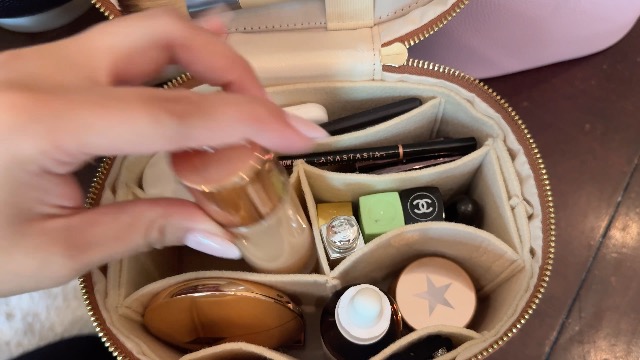 Amazon.com: JAZD Vanity Case Makeup Bag with Removable Organizer