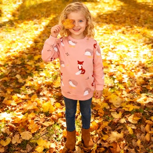 Image of Hongshilian Unisex Kids Cute Cartoon Cotton Sweater Shirt